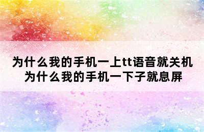 为什么我的手机一上tt语音就关机 为什么我的手机一下子就息屏